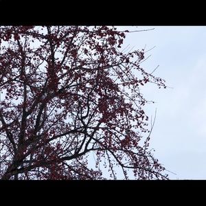 Meet your Posher, Maleele